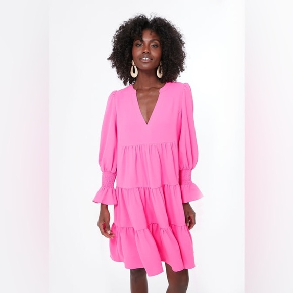 Pomander Place Kenzo Mini Dress NWT XS Pink Tiered Crepe Tuckernuck - Picture 11 of 16